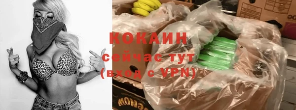 дмт Инта