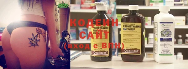 прущие грибы Иннополис