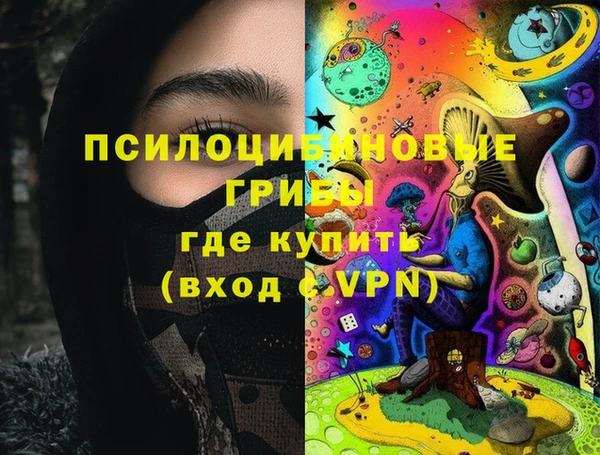 шишки Инсар