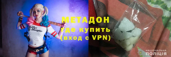 шишки Инсар