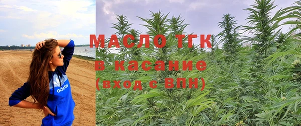 прущие грибы Иннополис
