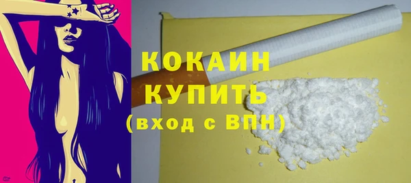 шишки Инсар