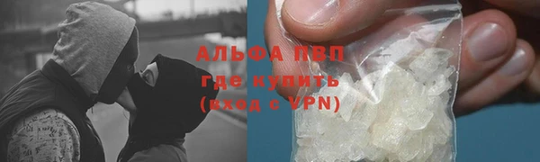 шишки Инсар
