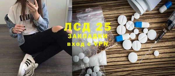 шишки Инсар