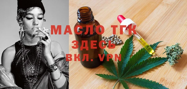 дмт Инта