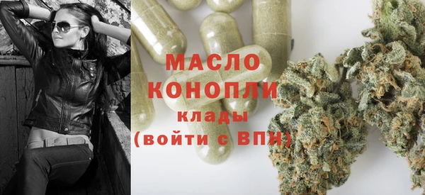 дмт Инта