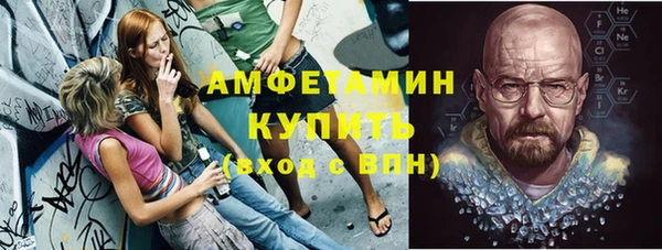 прущие грибы Иннополис