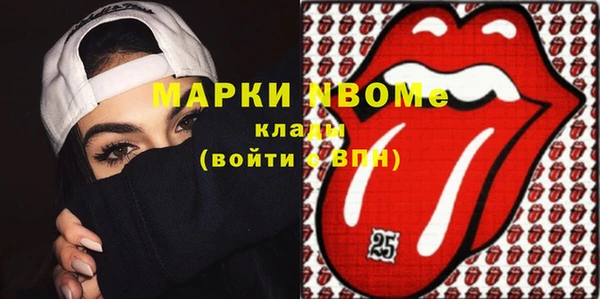 шишки Инсар