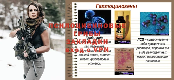 шишки Инсар