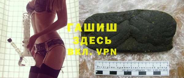 дмт Инта