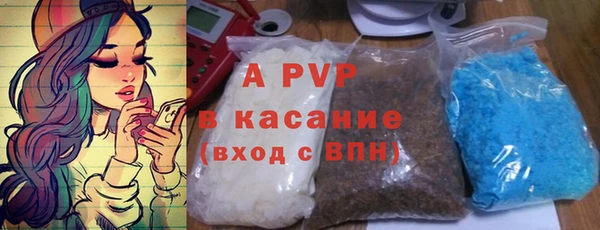 шишки Инсар