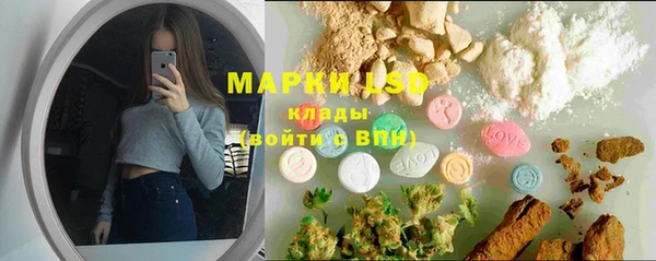 шишки Инсар