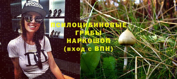 шишки Инсар