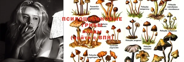 дмт Инта