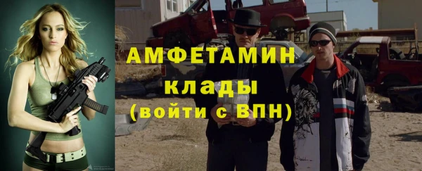 шишки Инсар