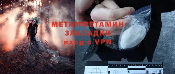 прущие грибы Иннополис