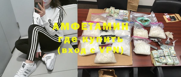прущие грибы Иннополис