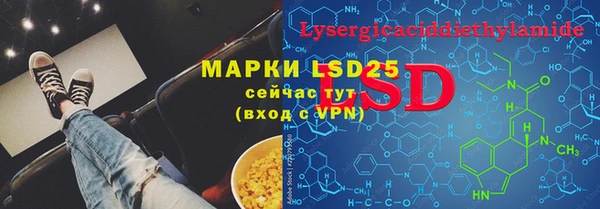шишки Инсар