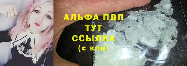 дмт Инта