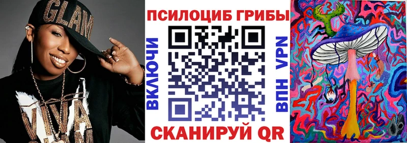 Купить  Олонец  Галлюциногенные грибы Psilocybe 